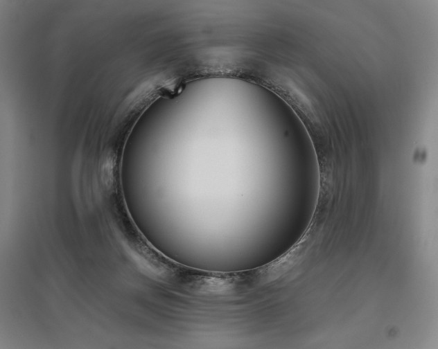 X0000095910166200801111240