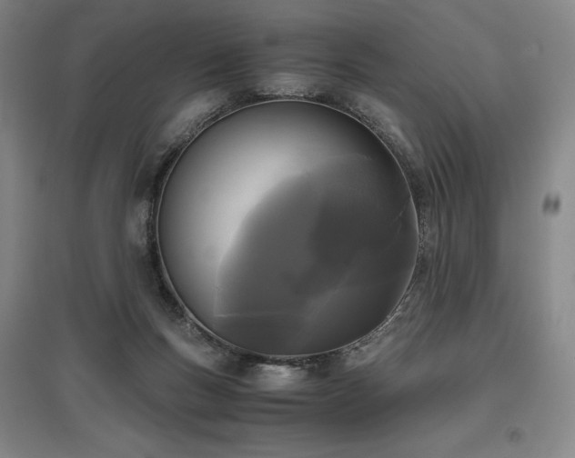 X0000095910167200801111240