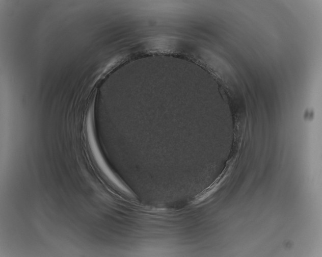 X0000095910168200801111240