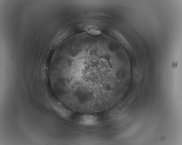 X0000095910169200801111240