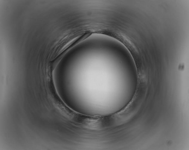 X0000095910170200801111240