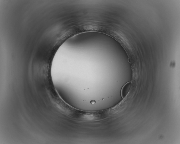 X0000095910171200801111240