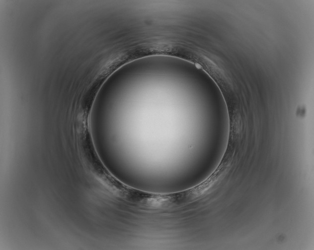 X0000095910172200801111240