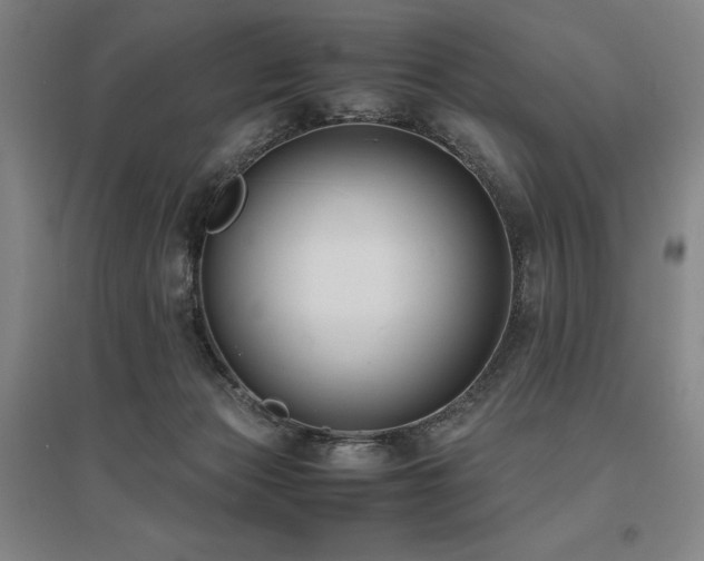 X0000095910173200801111240