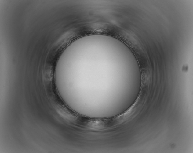 X0000095910174200801111240