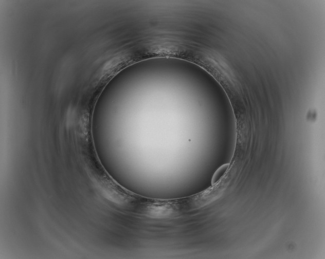 X0000095910175200801111240