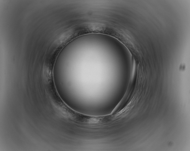 X0000095910176200801111240