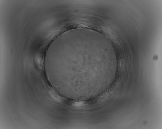 X0000095910177200801111240