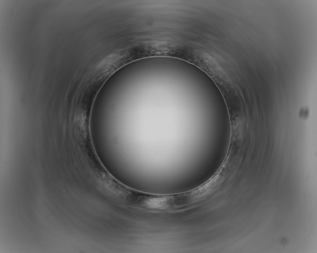 X0000095910178200801111240