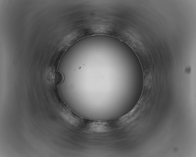 X0000095910179200801111240