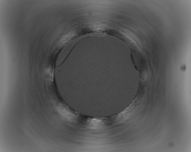 X0000095910180200801111240