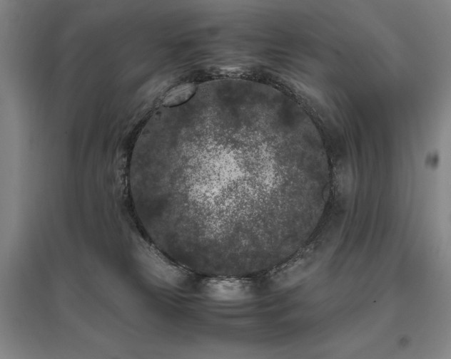 X0000095910181200801111240