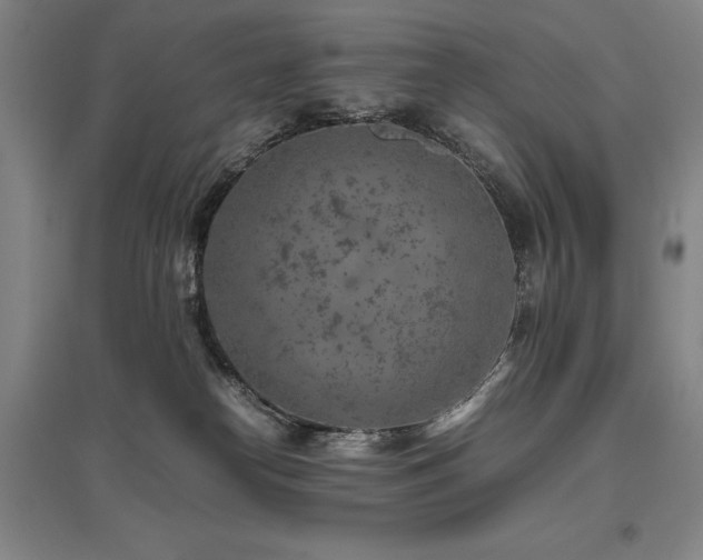 X0000095910182200801111240