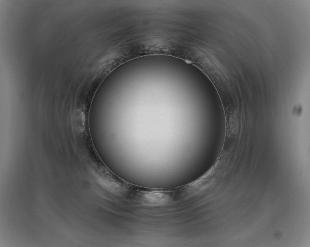 X0000095910183200801111240