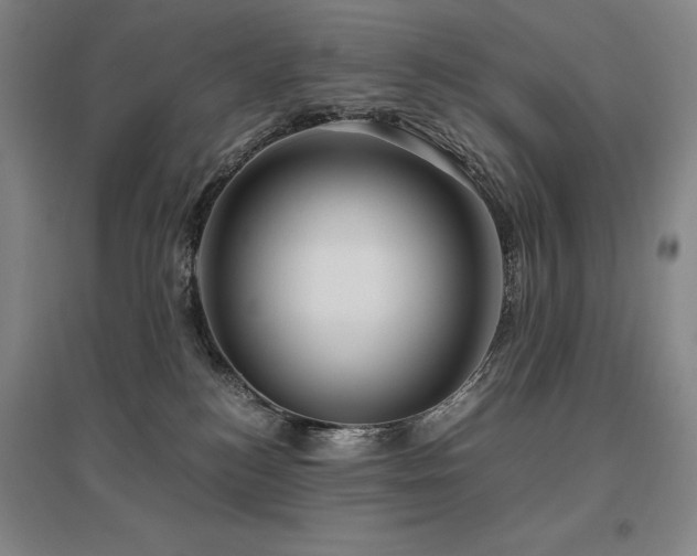 X0000095910184200801111240