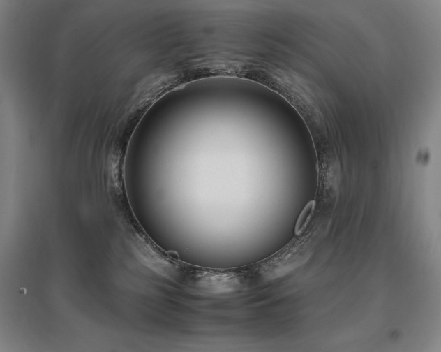 X0000095910185200801111240