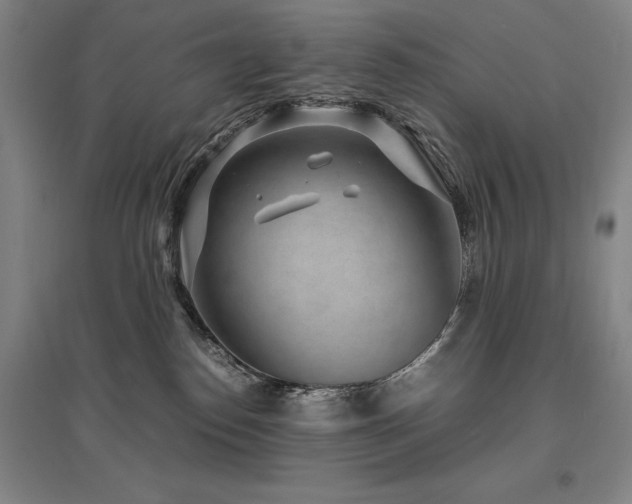 X0000095910186200801111240