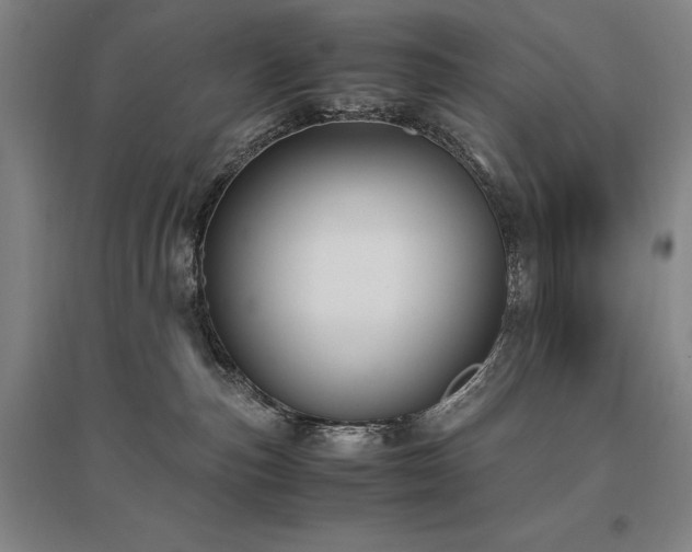 X0000095910187200801111240