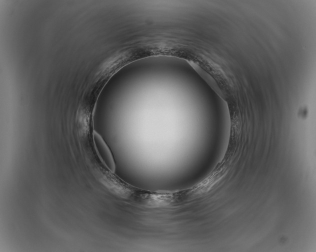 X0000095910188200801111240