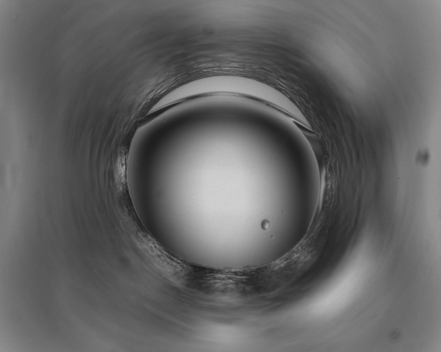 X0000095910190200801111240