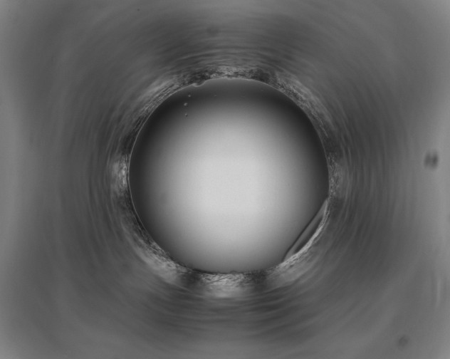 X0000095910191200801111240