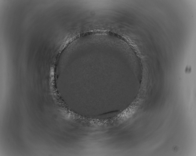 X0000095910192200801111240