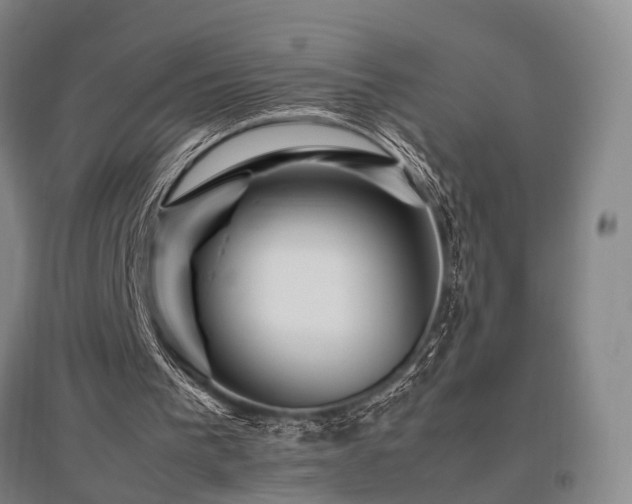 X0000095910193200801111240