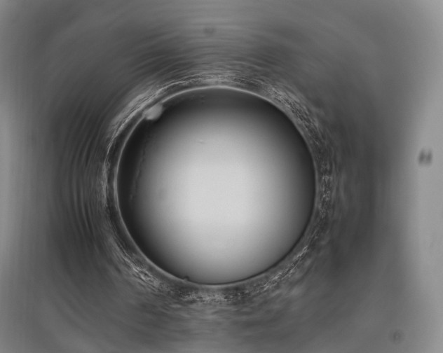 X0000095910194200801111240