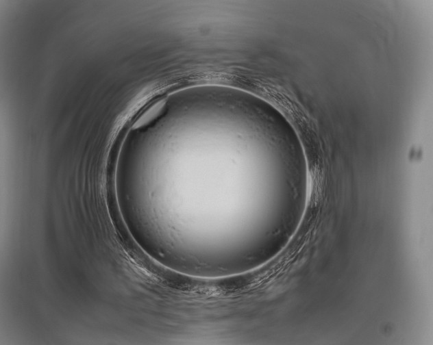 X0000095910195200801111240