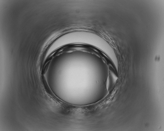 X0000095910197200801111240