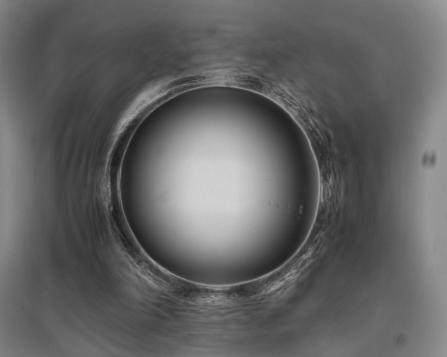 X0000095910198200801111240