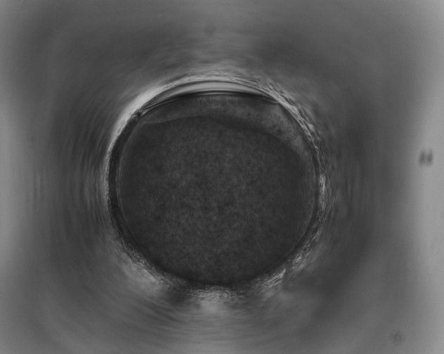 X0000095910200200801111240