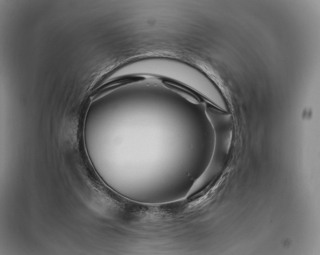 X0000095910201200801111239