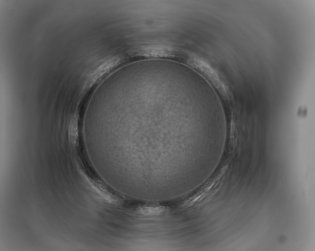 X0000095910202200801111239