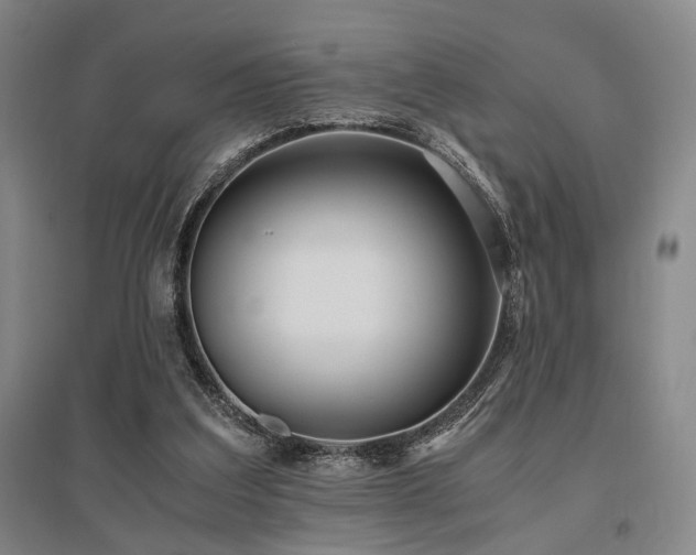 X0000095910203200801111239