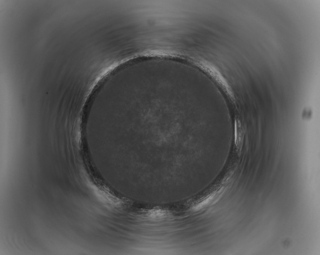 X0000095910204200801111239