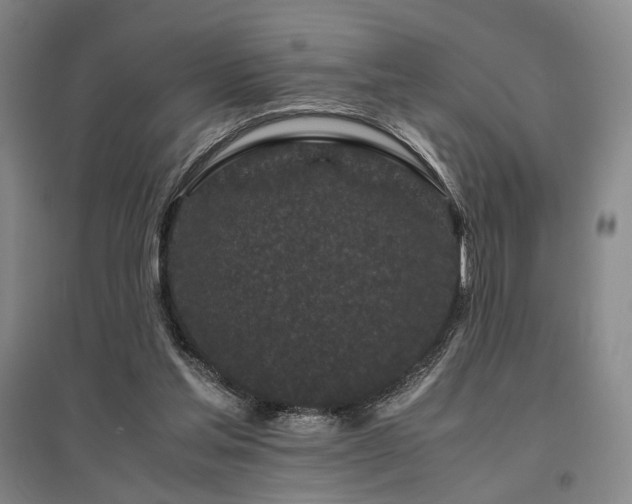 X0000095910205200801111239