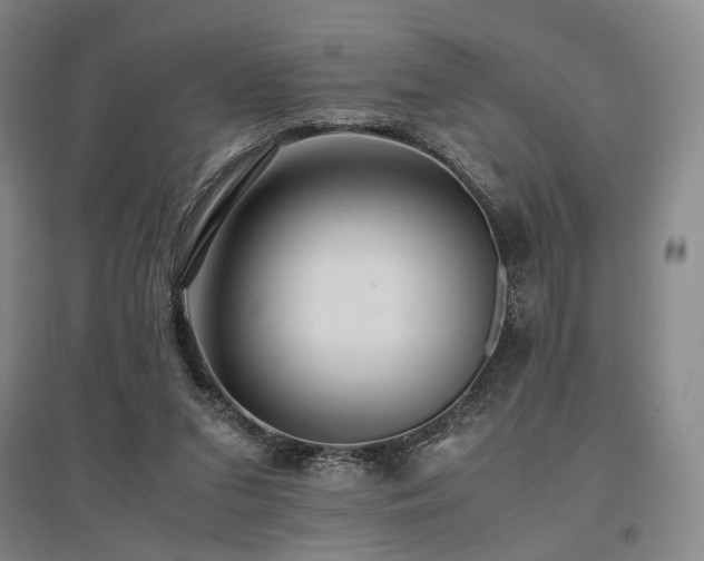 X0000095910207200801111239