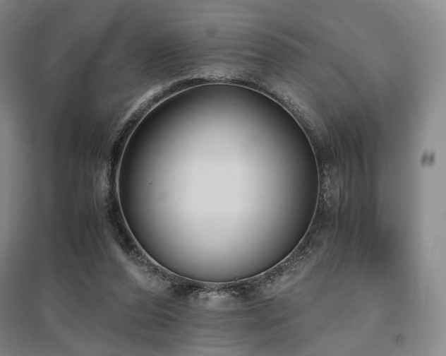 X0000095910208200801111239