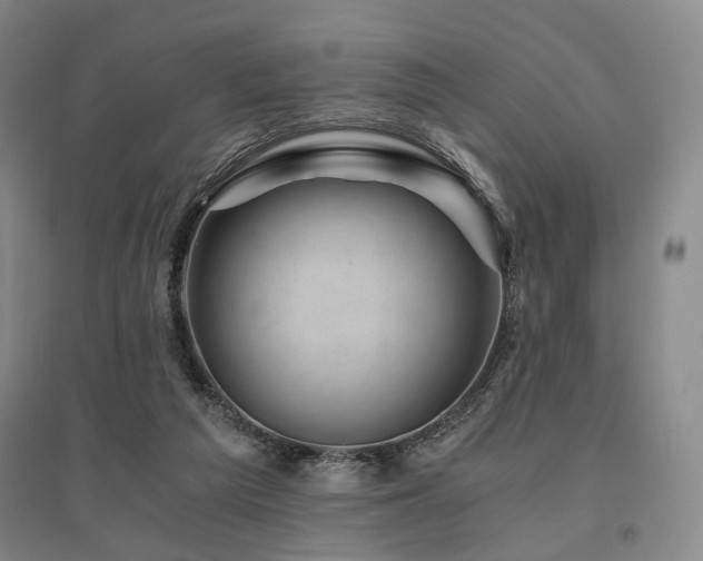 X0000095910209200801111239