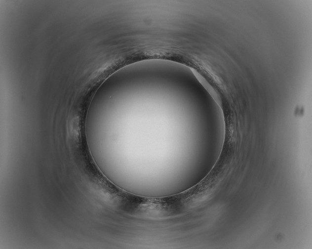 X0000095910211200801111239