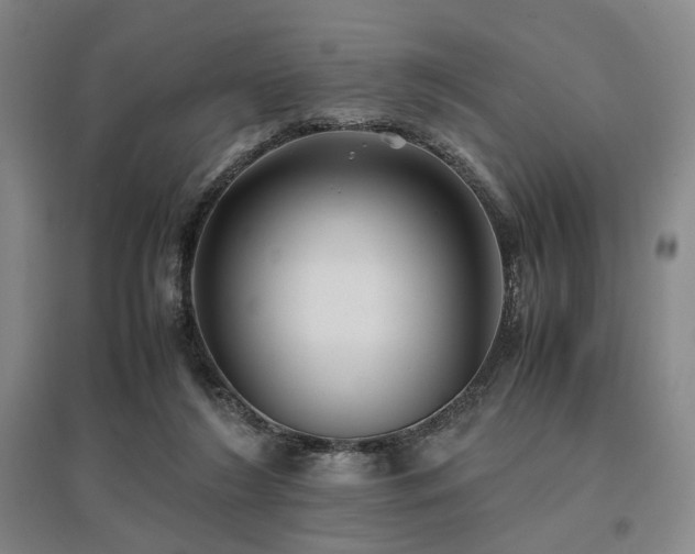 X0000095910212200801111239