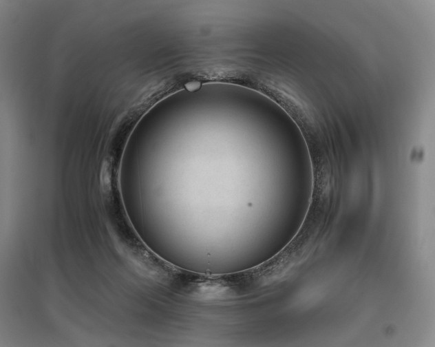 X0000095910214200801111239