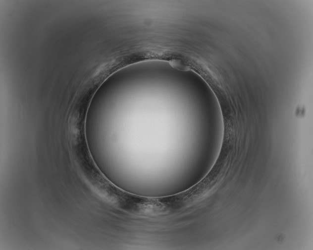 X0000095910215200801111239