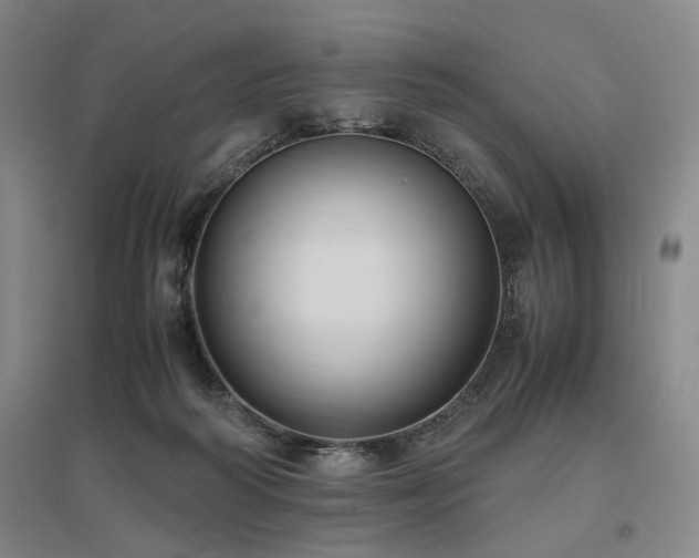 X0000095910218200801111239