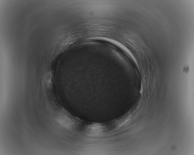 X0000095910219200801111239