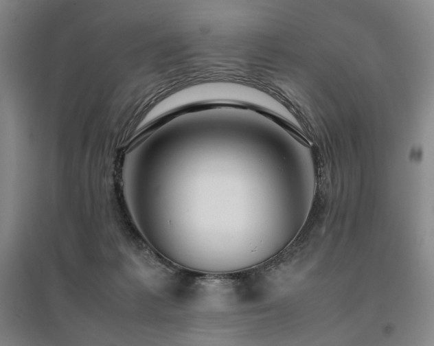 X0000095910221200801111239