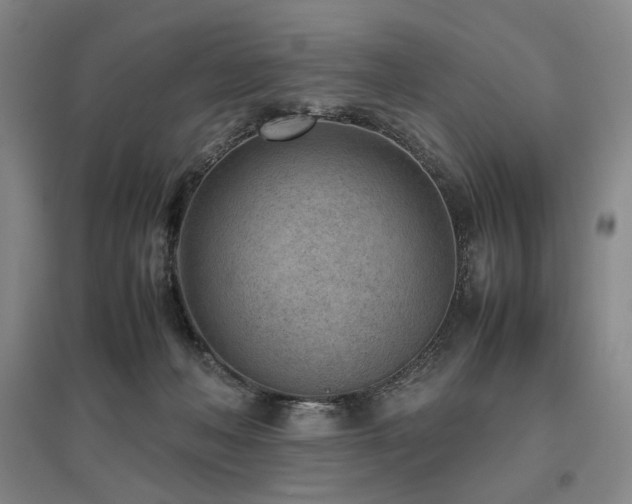 X0000095910222200801111239