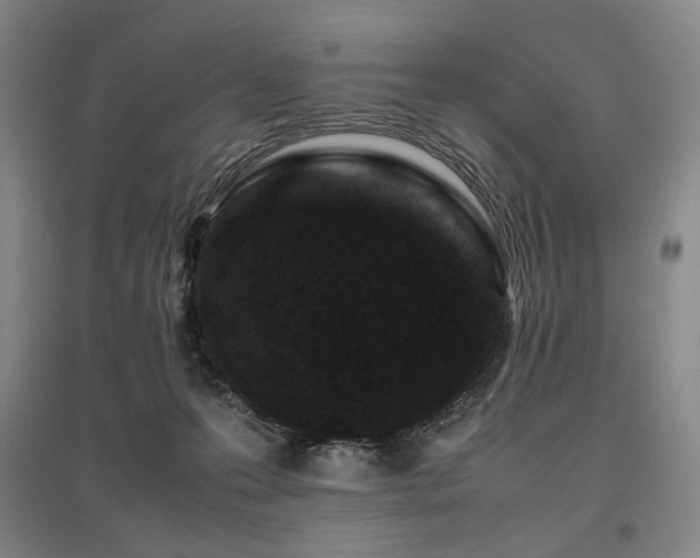 X0000095910223200801111239