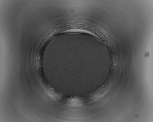 X0000095910224200801111239